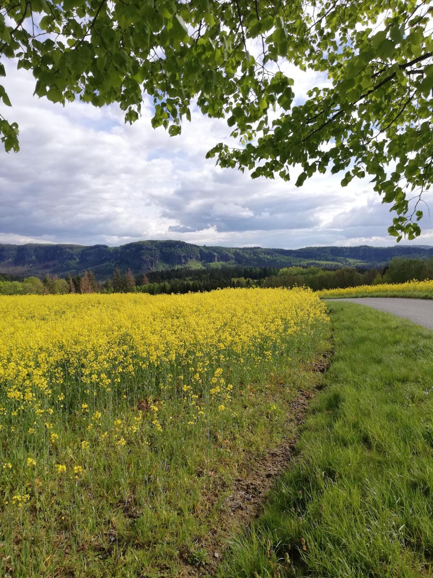Lichtenhainer Hof Lichtenhain  Buitenkant foto